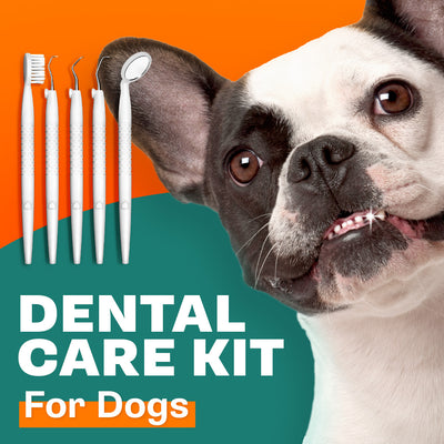 Dr. Speed’s Dog Dental Kit 7 Piece, Home Pet Cleaning & Care